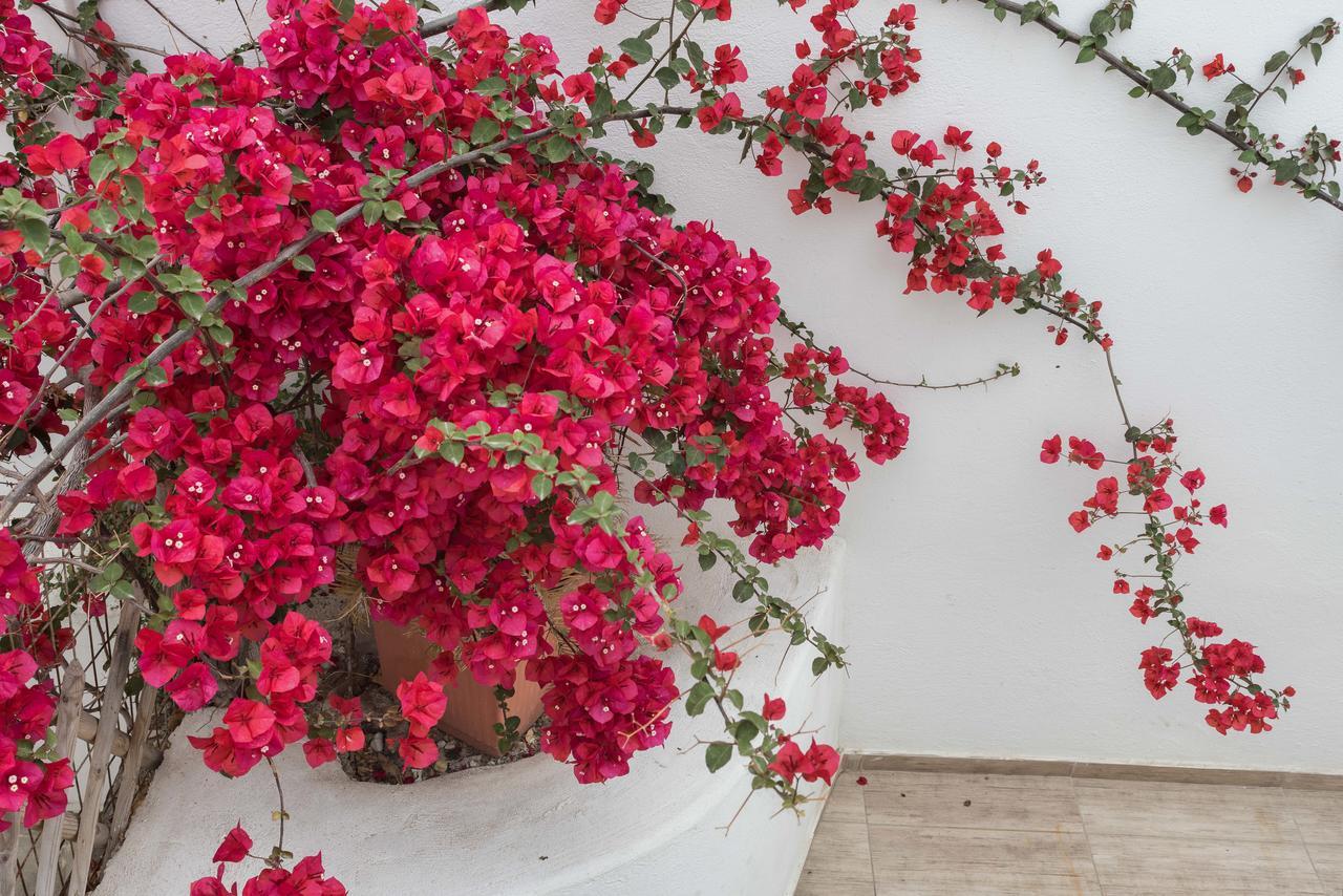 Depis Suites Naxos City 外观 照片
